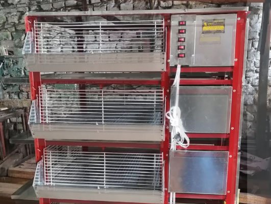 Criadoras-5-niveles-tallver-avicola-granja-1