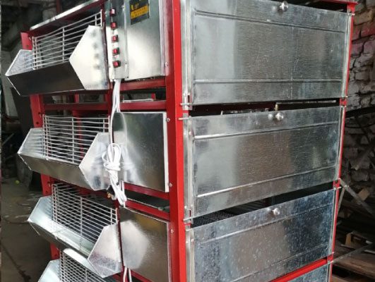 Criadoras-5-niveles-tallver-avicola-granja-2